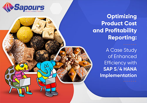 optimizing-product-cost-and-profitability-reporting-at-sapours.jpg