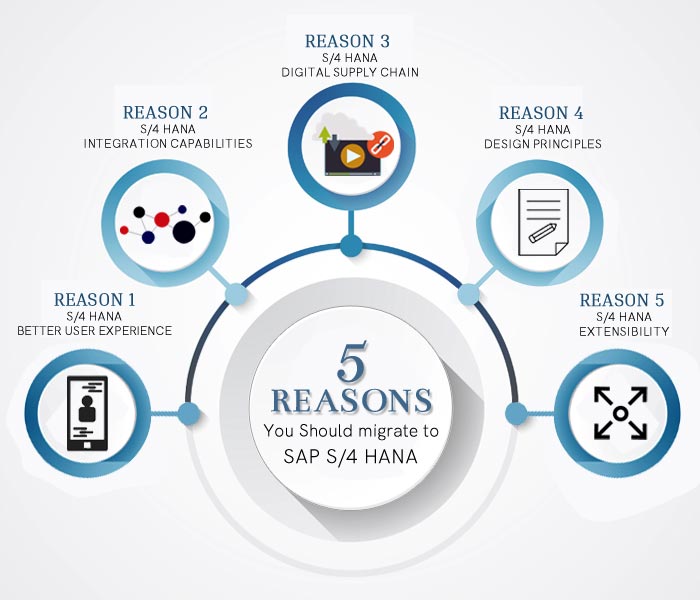 Know Five Reasons To Migrate To Sapours