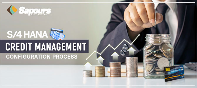 S/4 HANA Credit Management Configuration Process